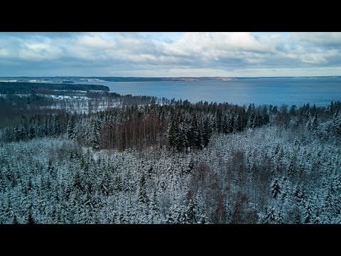 Getting lost in the Swedish forest...