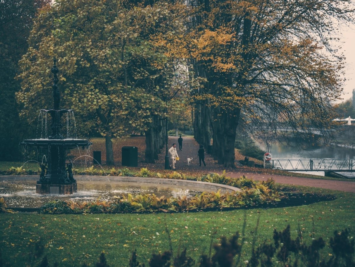 A park with a fountain and trees in the background.