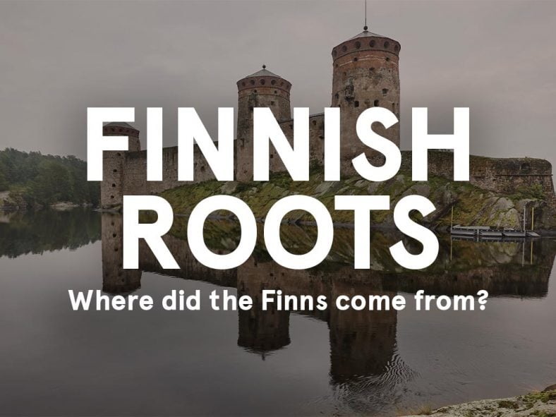 Finnish Heritage: Nordic, Viking, and Baltic Ties Explained