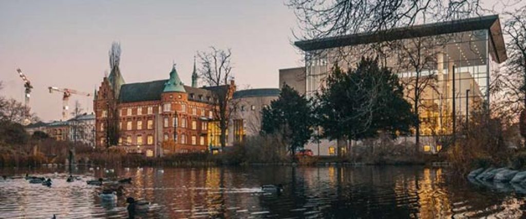 malmo library pond ducks winter karl andersson