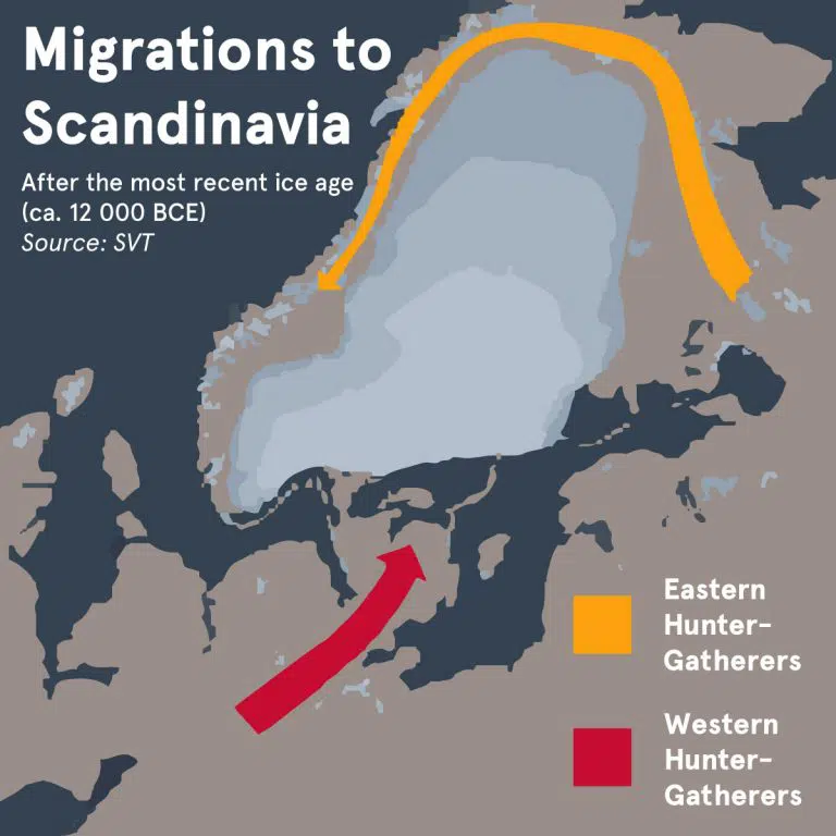 Swedish Vikings: A Guide To Viking Age Swedes & Their Journeys