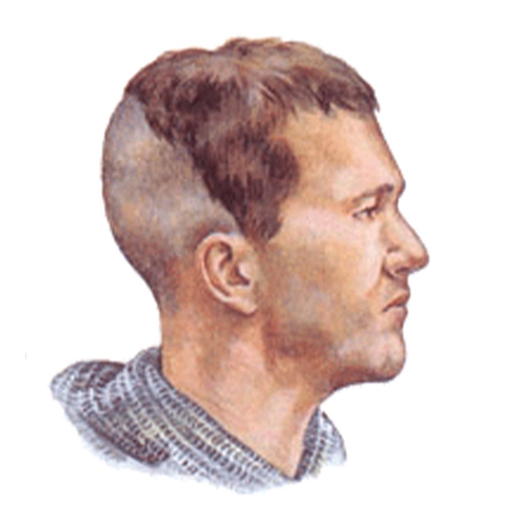 Profile illustration of a man with short brown hair, featuring a distinctive patch on the right side of his head. He is facing to the right, wearing a textured, knitted garment reminiscent of Scandinavian craftsmanship. The background is plain white.