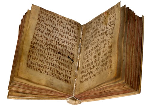 Codex runicus book