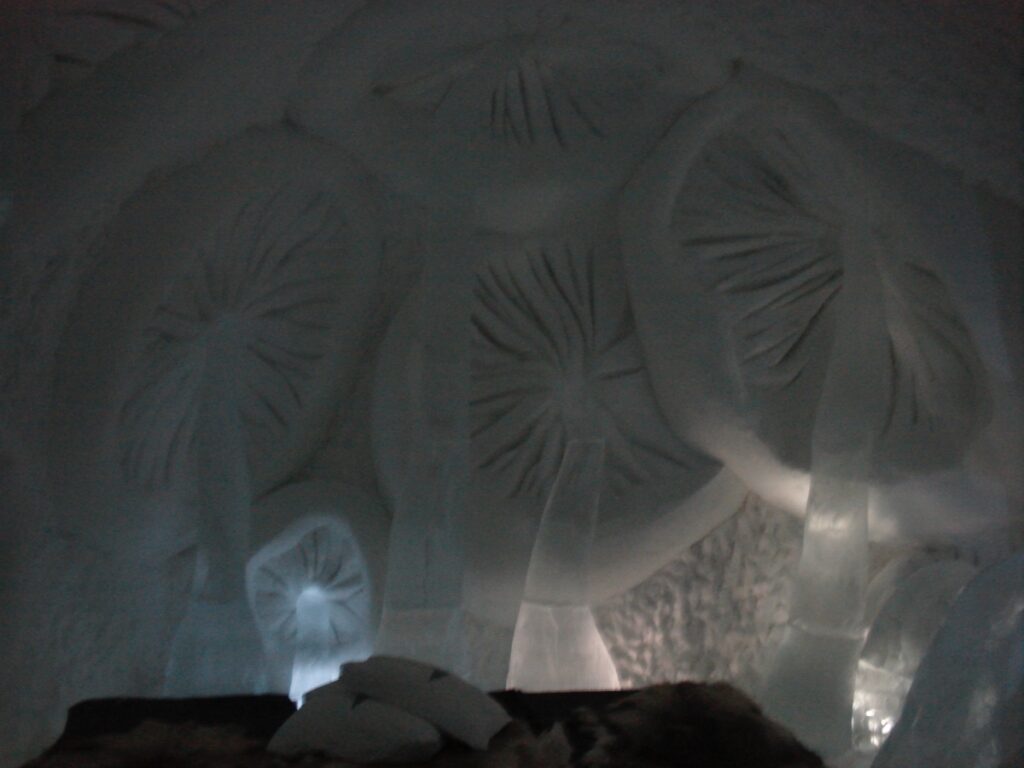 icehotel mushroom 2