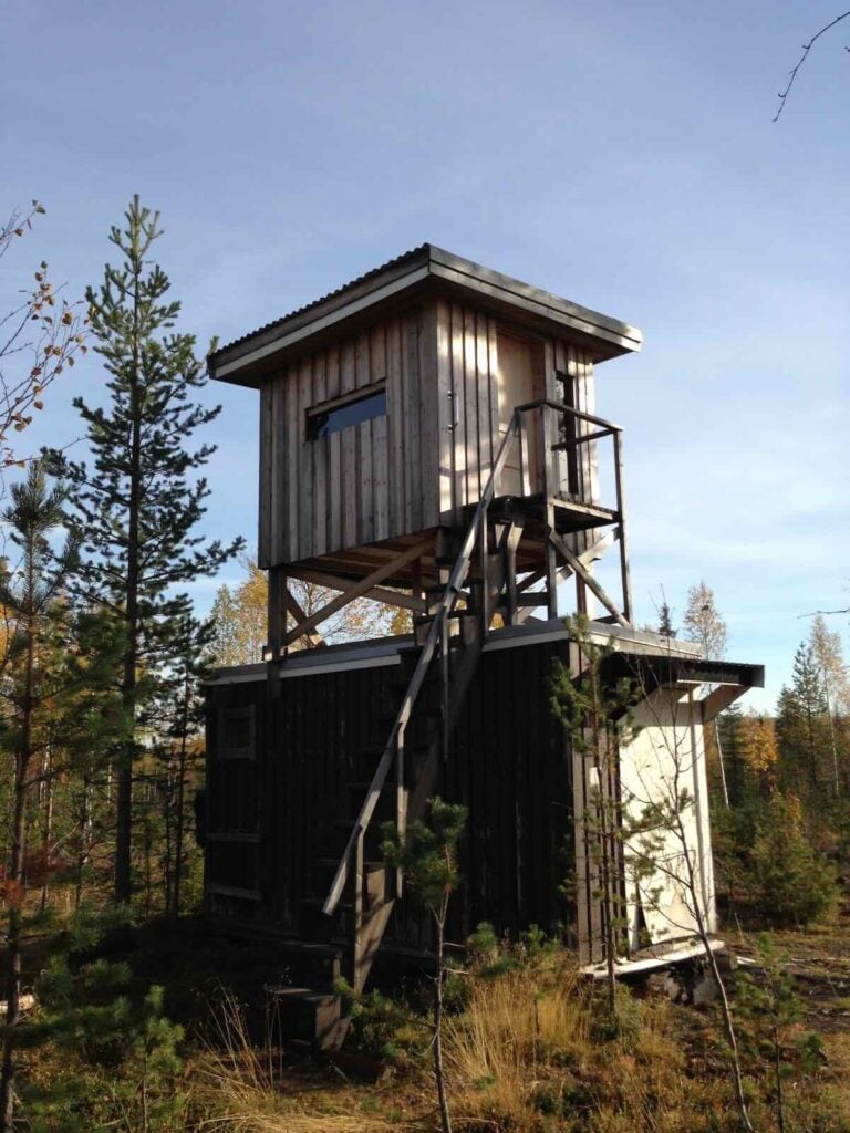 moose hunting norrland sweden nordicperspective 2