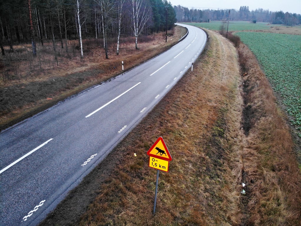 moose road sign sweden close